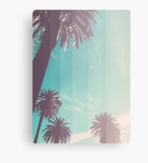 Teal Palm Fade Canvas Print