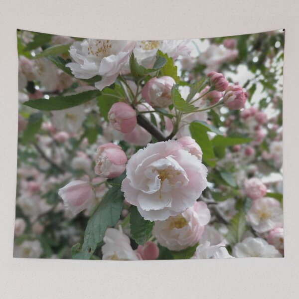 Aperçu de l'œuvre Fleur de pommetier rose créée et vendue par Reado71.