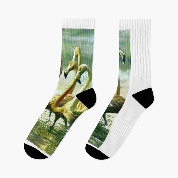 Item preview, Flamingos 8 Digital Painting From WallsOfFame designed and sold by WallsOfFameAust.