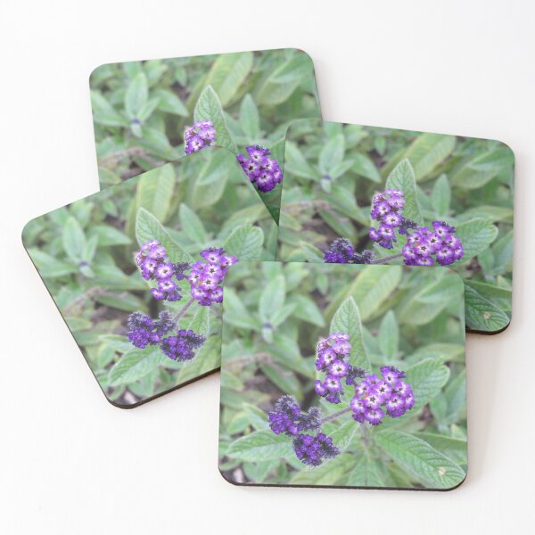 Item preview, Purple heliotrope designed and sold by greentiger1.