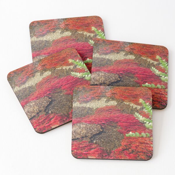 Item preview, Caño Crystals Colombia designed and sold by Julio Benitez.