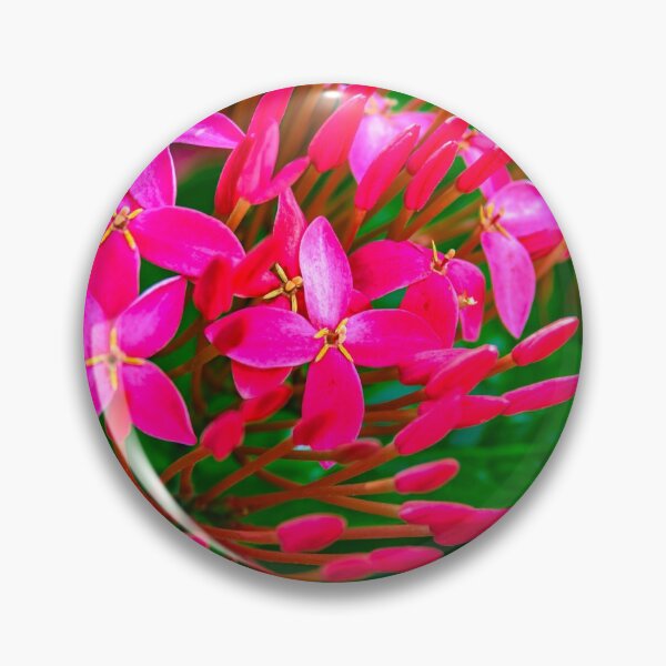 Item preview, Fuscia Flower designed and sold by Roselyn Shoko.