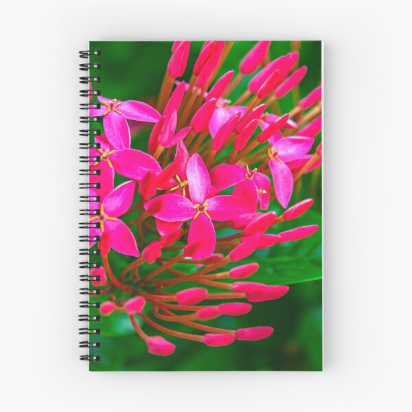 Item preview, Fuscia Flower designed and sold by Roselyn Shoko.