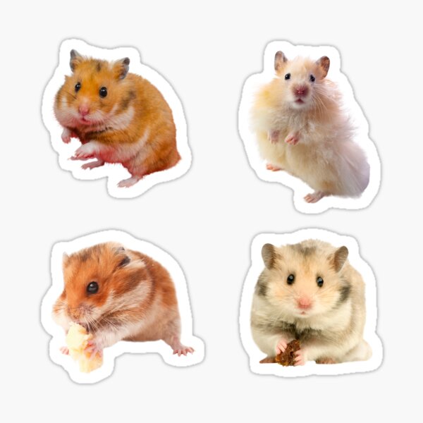 Hamster pack Sticker