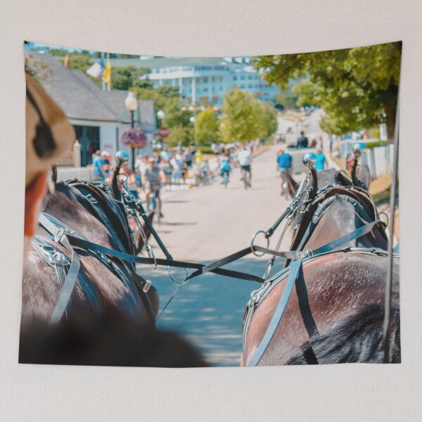 Item preview, Carriage tour of Mackinac Island designed and sold by Michael Deemer.