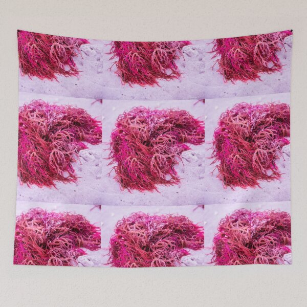 Item preview, Pink Seaweed designed and sold by Roselyn Shoko.