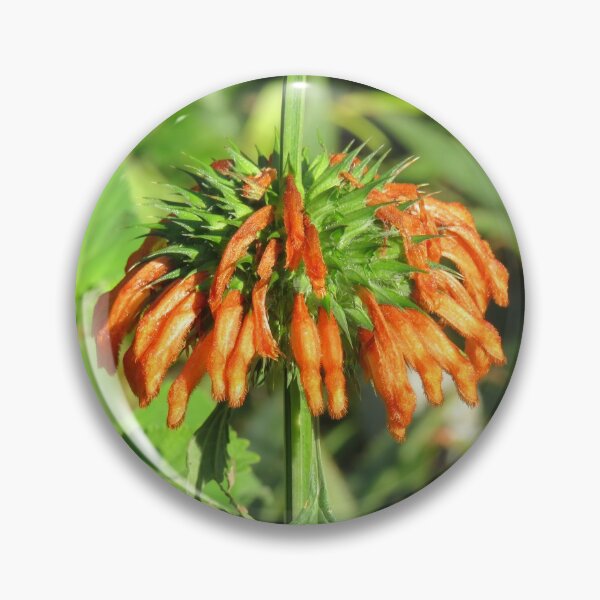 Item preview, Lion's tail designed and sold by greentiger1.