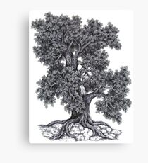 Firmly Rooted Canvas Print