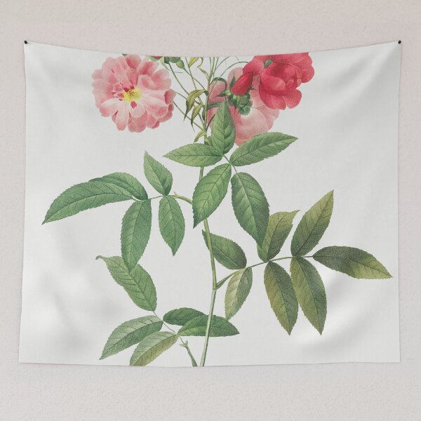 Item preview, Les Roses by Pierre-Joseph Redouté designed and sold by EsotericBotanic.