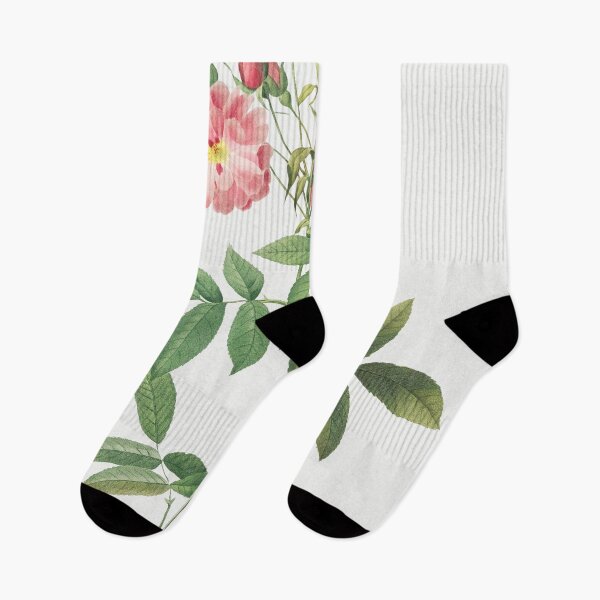 Item preview, Les Roses by Pierre-Joseph Redouté designed and sold by EsotericBotanic.