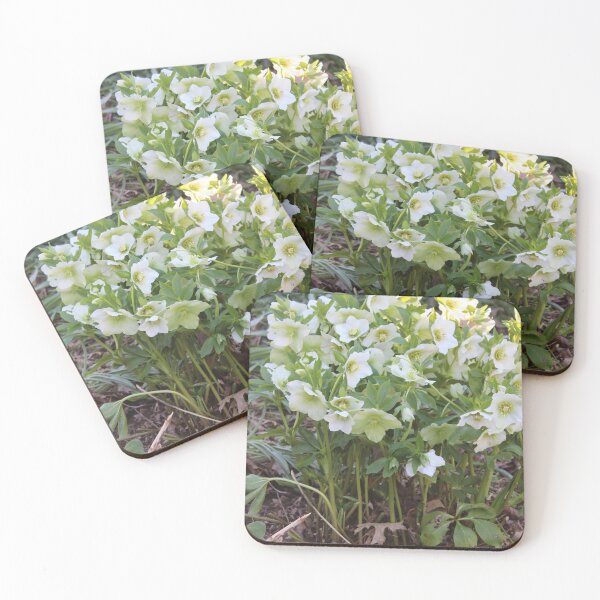 Item preview, Lenten Rose Beauty designed and sold by HopeAlways888.