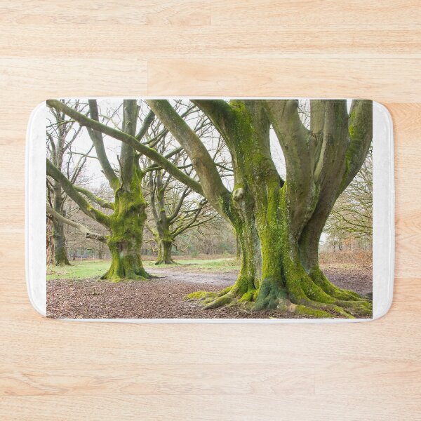Item preview, Old giants waiting for spring designed and sold by jchanders.
