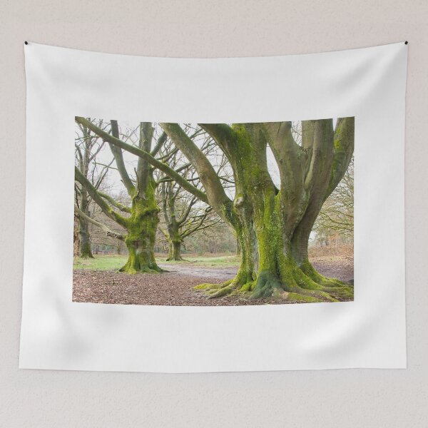 Item preview, Old giants waiting for spring designed and sold by jchanders.