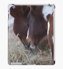 Share iPad Case/Skin