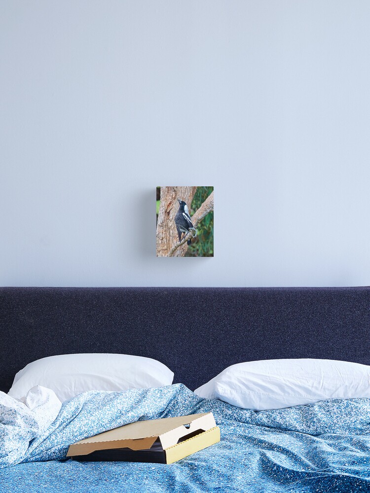 Thumbnail 2 of 3, Canvas Print, MAGPIE ~ Australian Magpie W8UKJT6Z by David Irwin designed and sold by tasmanianartist.