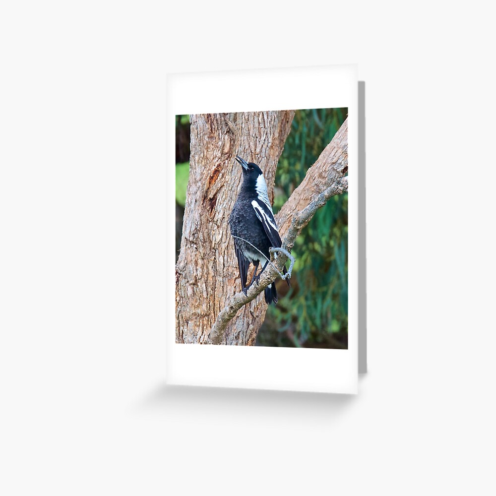 Item preview, Greeting Card designed and sold by tasmanianartist.