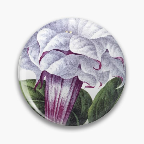 Item preview, Datura Metel cornucopia designed and sold by minimalcinema.