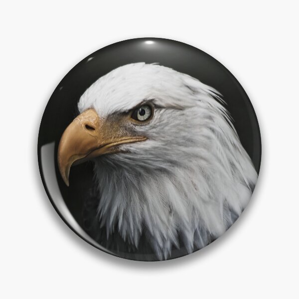 Item preview, Bald Eagle designed and sold by Alex Preiss.