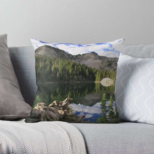 Hidden Beauty Throw Pillow and Tote Bag Throw Pillow
