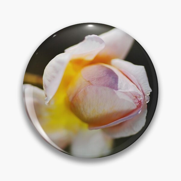Item preview, April Rose Bud designed and sold by Joy Watson - Natural Light Photography .