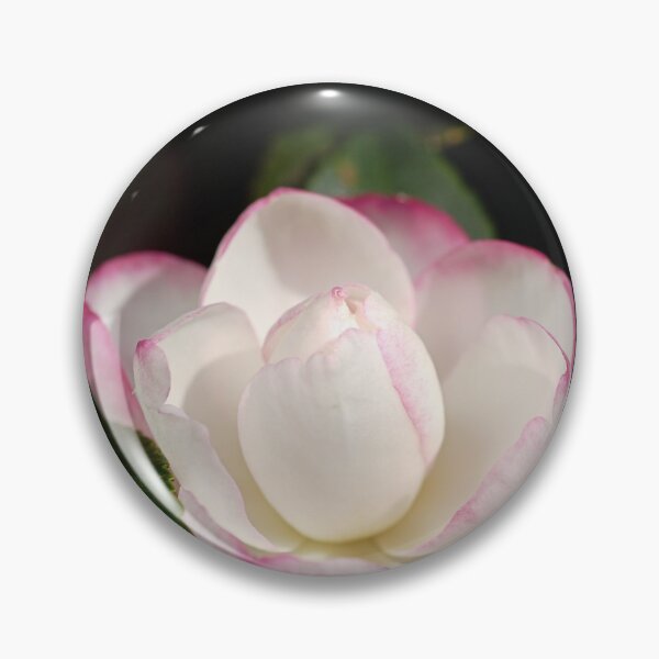 Item preview, Camellia Spring Happiness designed and sold by Joy Watson - Natural Light Photography .