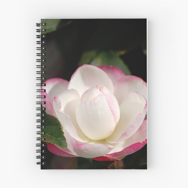 Item preview, Camellia Spring Happiness designed and sold by Joy Watson - Natural Light Photography .