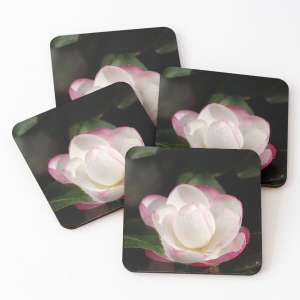 Item preview, Camellia Spring Happiness designed and sold by Joy Watson - Natural Light Photography .