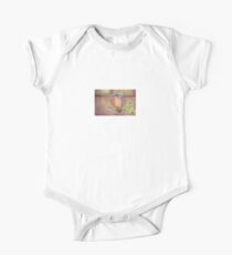 Kingfisher One Piece - Short Sleeve