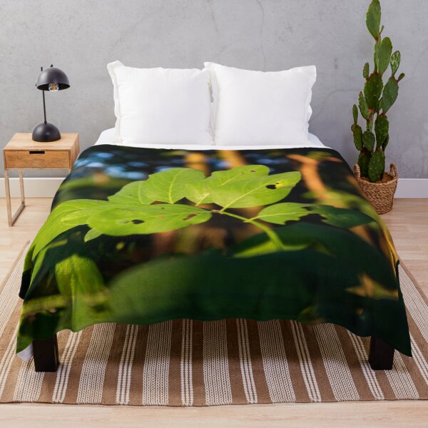 Item preview, Acacia leaves designed and sold by Life-s-A-Hike.