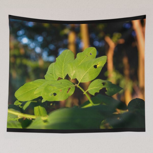 Item preview, Acacia leaves designed and sold by Life-s-A-Hike.