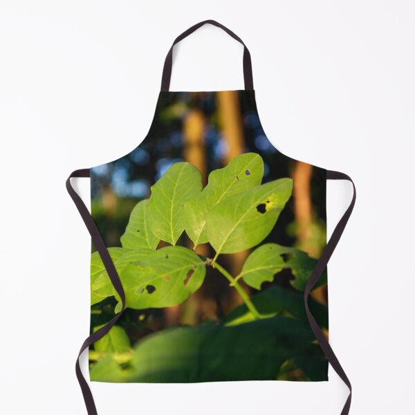 Item preview, Acacia leaves designed and sold by Life-s-A-Hike.