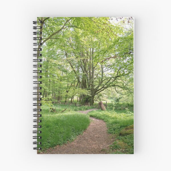 Item preview, Forest at Stenshuvud National Park in Sweden designed and sold by EngineerGoC.