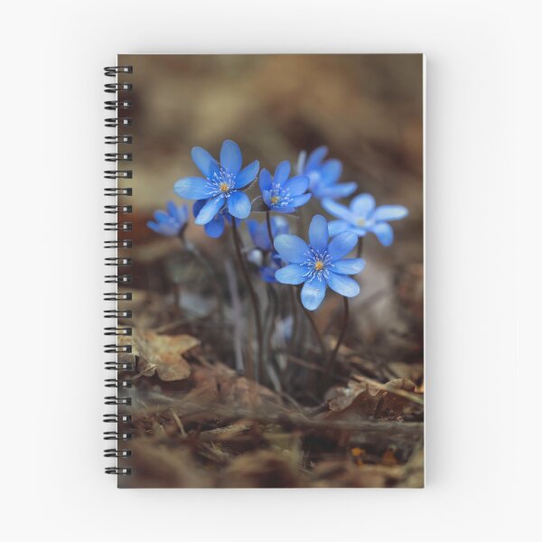 Item preview, Blue Hepatica designed and sold by JBlaminsky.