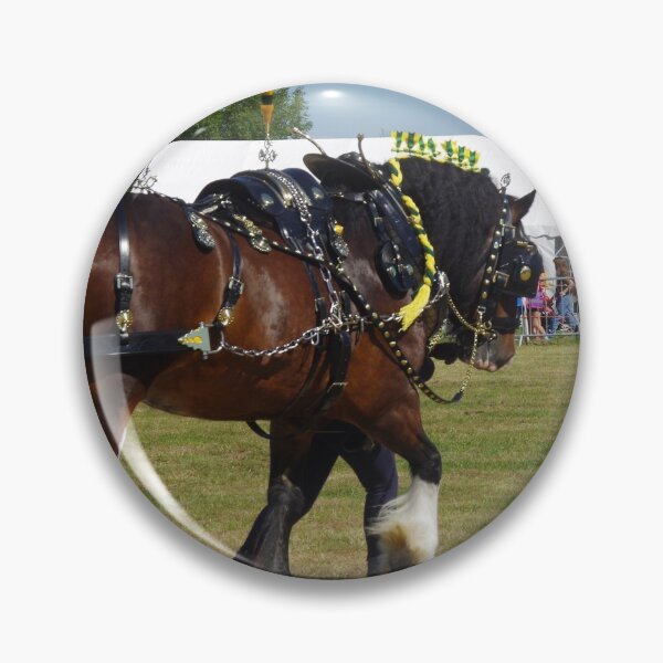 Item preview, The Pride Of Its Class - Heavy Horse Display designed and sold by lezvee.