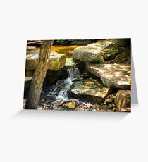 SWEET LITTLE WATERFALL Greeting Card