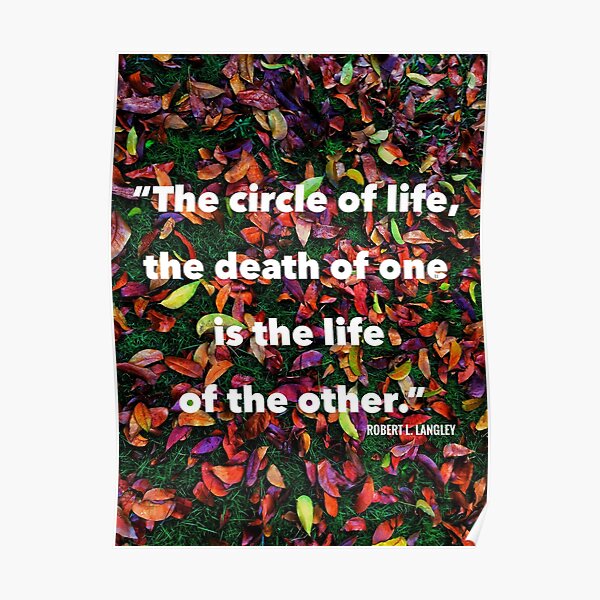 Circle of Life Poster