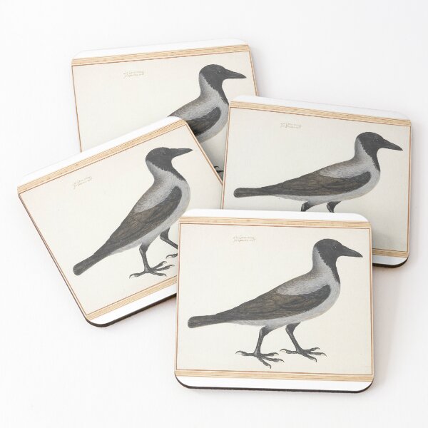 Item preview, Vincenzo Leonardi (1589-1657) Study of a Hooded Crow designed and sold by cdmprints.