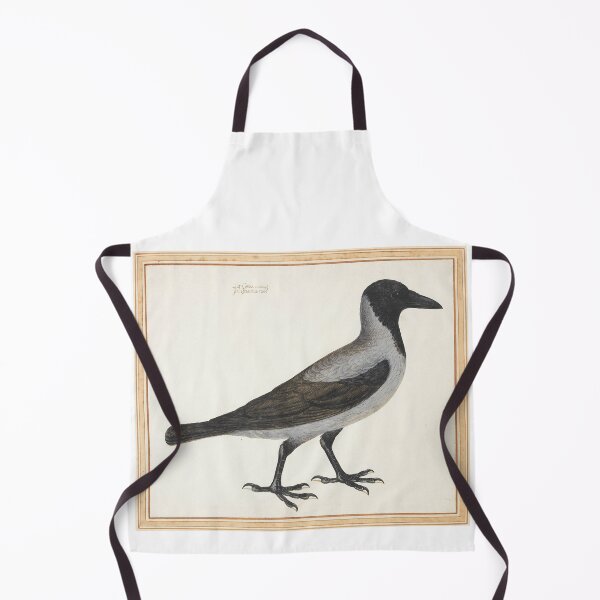 Item preview, Vincenzo Leonardi (1589-1657) Study of a Hooded Crow designed and sold by cdmprints.