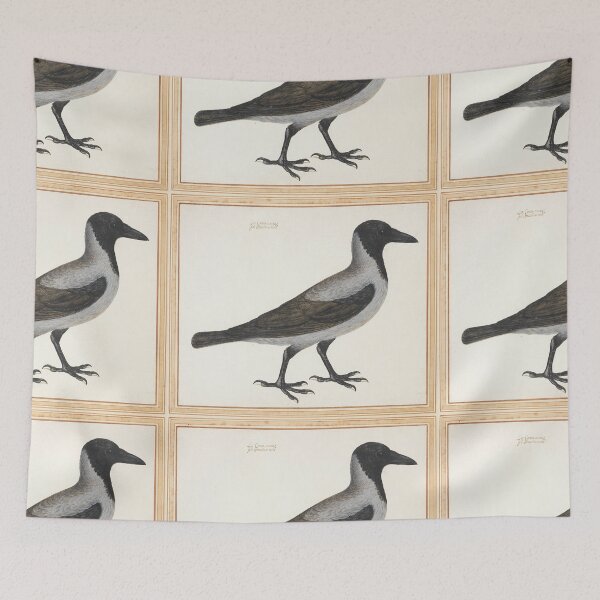 Item preview, Vincenzo Leonardi (1589-1657) Study of a Hooded Crow designed and sold by cdmprints.