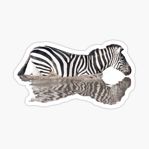 Spiegelbild Im Wasser Geschenke Merchandise Redbubble