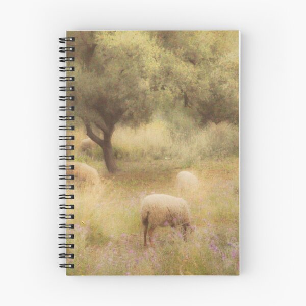 Item preview, Sheep grazing in the Spanish countryside. II designed and sold by peter hayward.