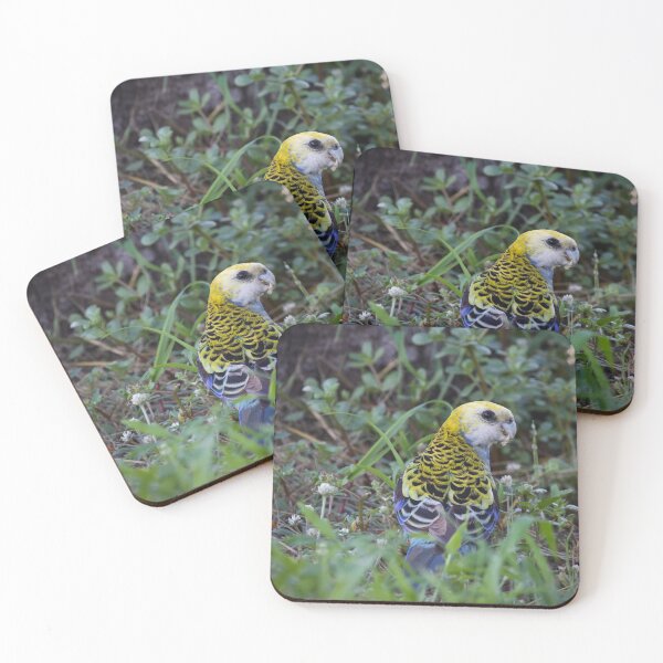 Item preview, Pale headed Rosella designed and sold by MargsNaturePix.