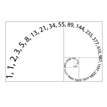 Artwork thumbnail, Fibonacci numbers on Golden Spiral by TalesOfScience