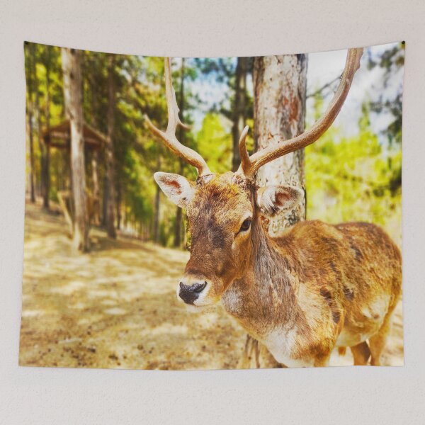 Item preview, Deer in the woods designed and sold by nelllkata.
