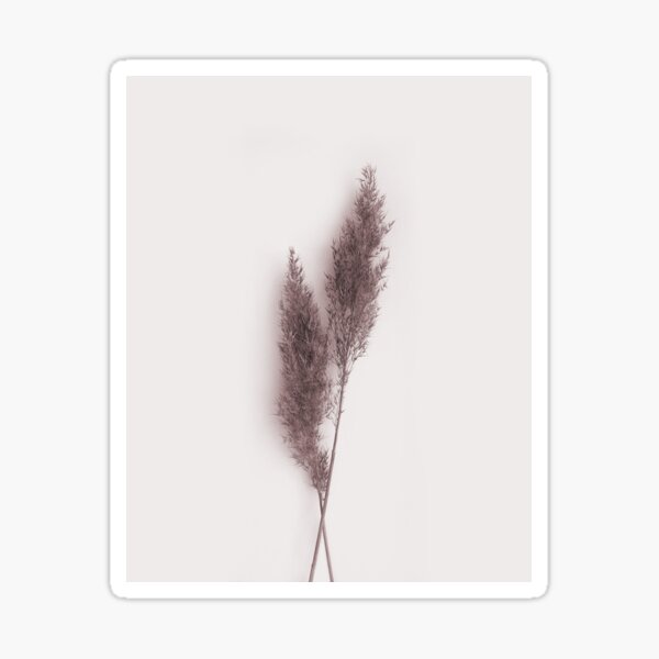 Dry Pampas Grass Sticker For Sale By Artbyasolo Redbubble