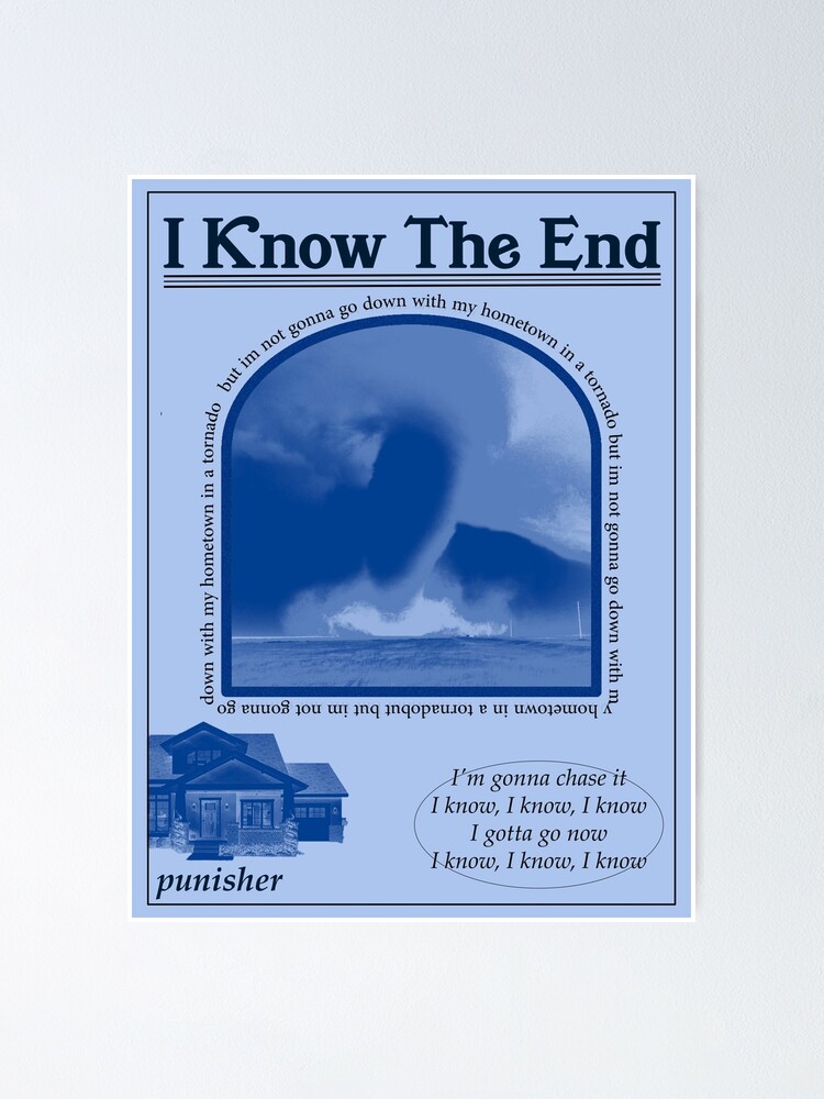 Poster ''Je connais la fin Phoebe Bridgers' : autre vue
