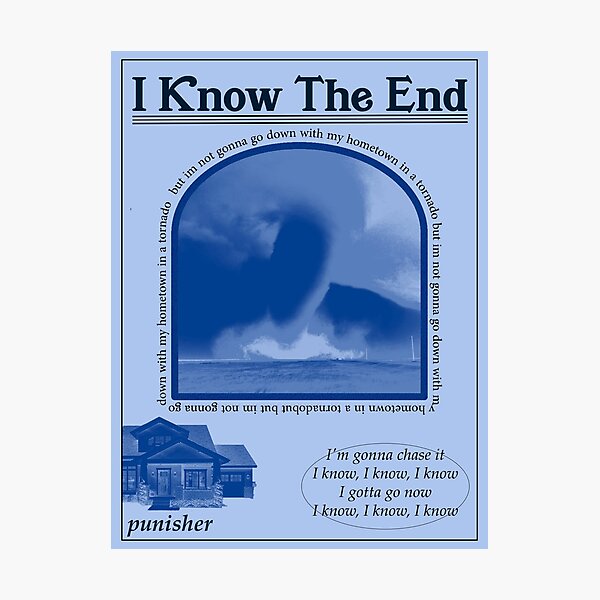 I Know The End Phoebe Bridgers Photographic Print