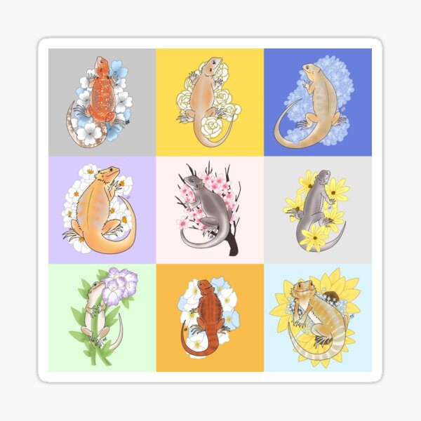 Collage of beardie art Sticker