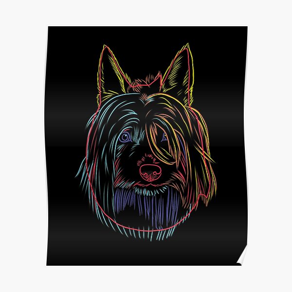 Colorful Dog Australian Silky Terrier Poster