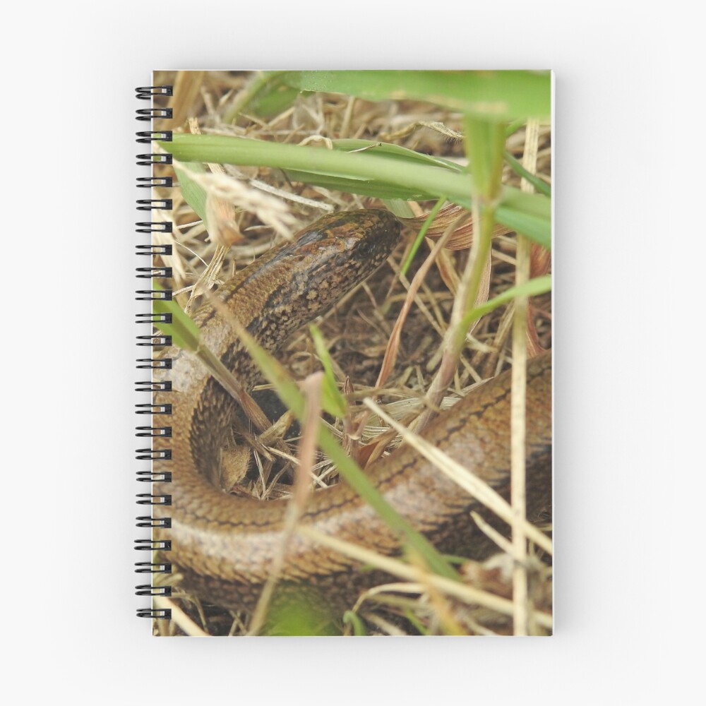 Item preview, Spiral Notebook designed and sold by sandysshoots.